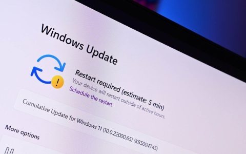 微软在 Windows 11 的 Beta 和 Release Preview 频道中为 Insiders 带来了新的天气按钮