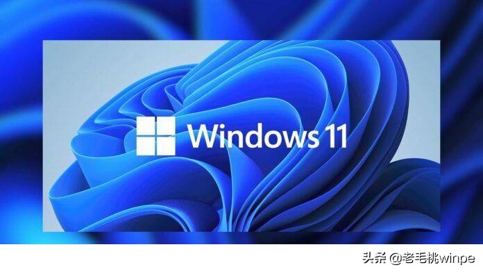 Windows 11:是否真的需要升级？这4点你必须知道，别再乱操作了
