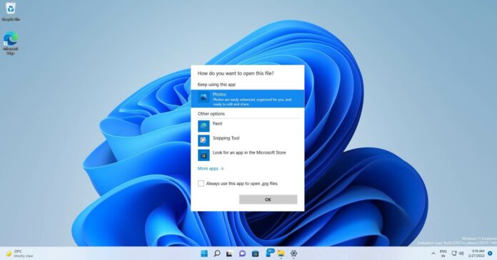 Windows 11 默认应用选择工具