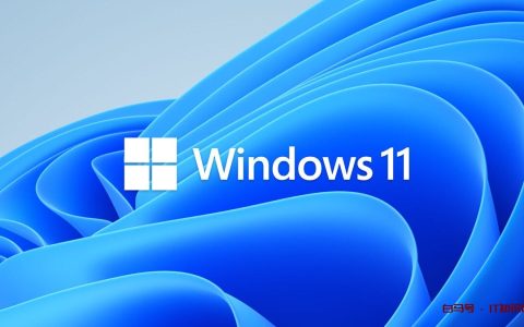 Windows 11 Insider Previews：最新版本中有什么？