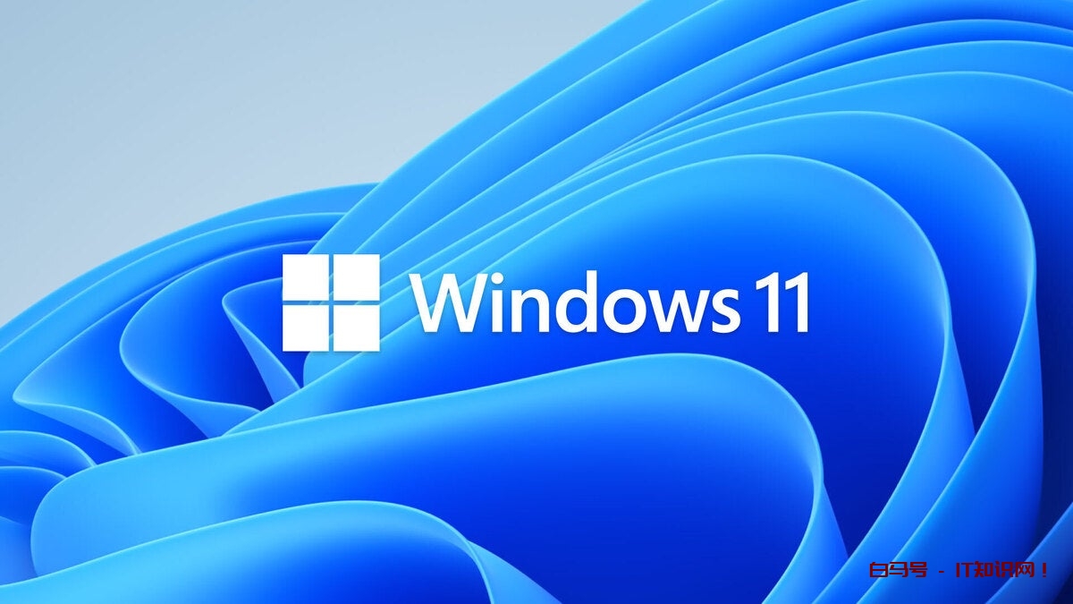 Windows 11 徽标绽放