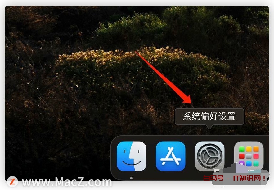 在Mac电脑上如何调整用户界面缩放比例？