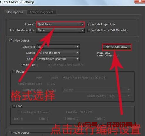 AE怎么导出视频