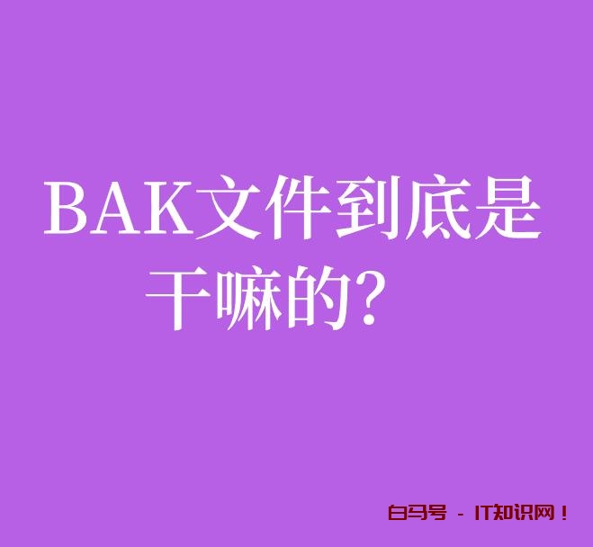 BAK文件到底是干嘛的？为什么众多编程、CAD软件会设置备份文件？