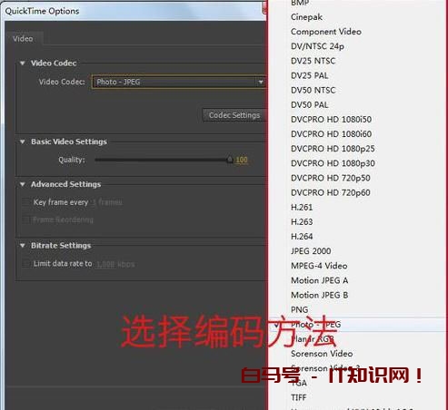 AE怎么导出视频