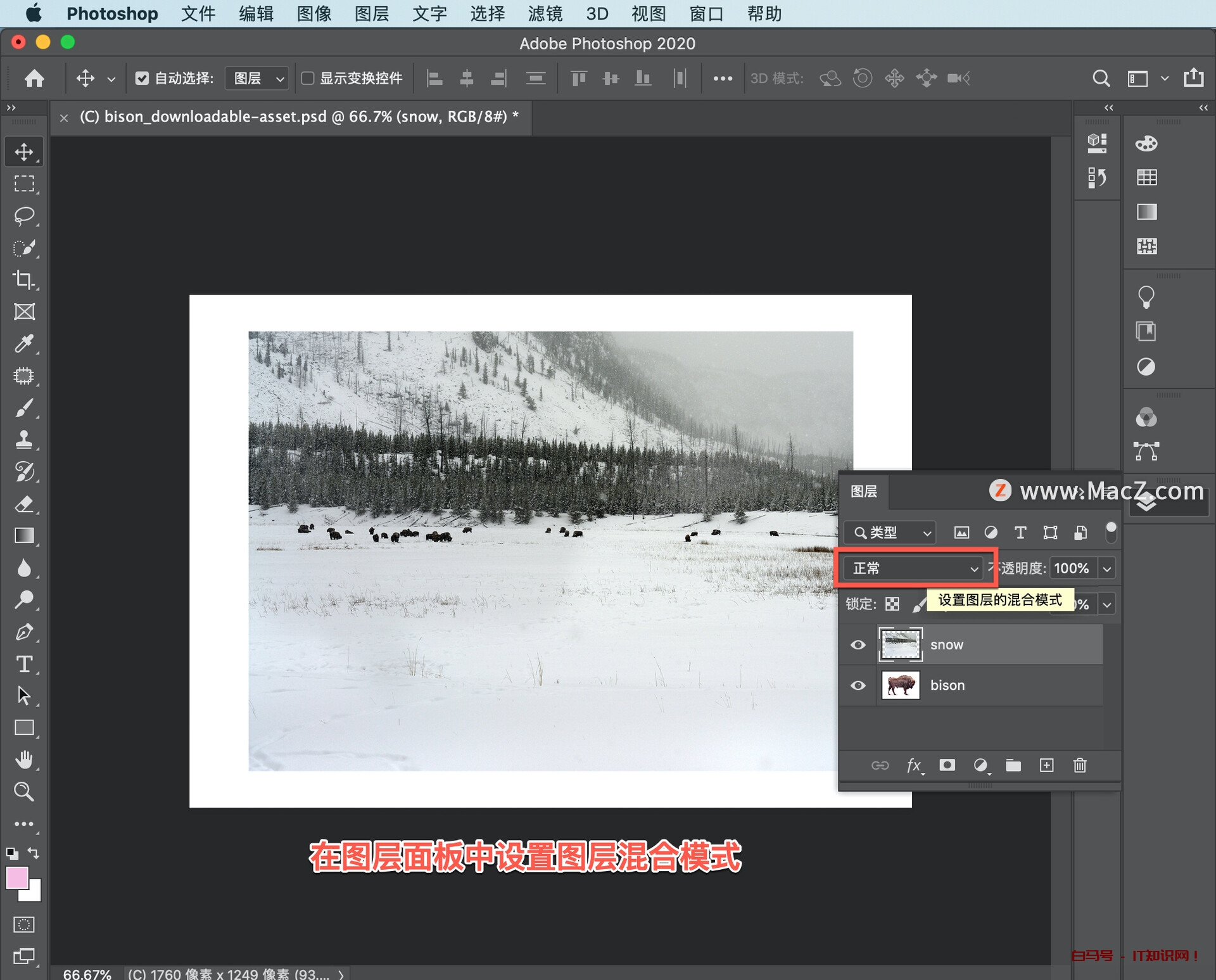 Ps 初学者教程，如何将两张图片合成为一张令人惊艳的全新图片？