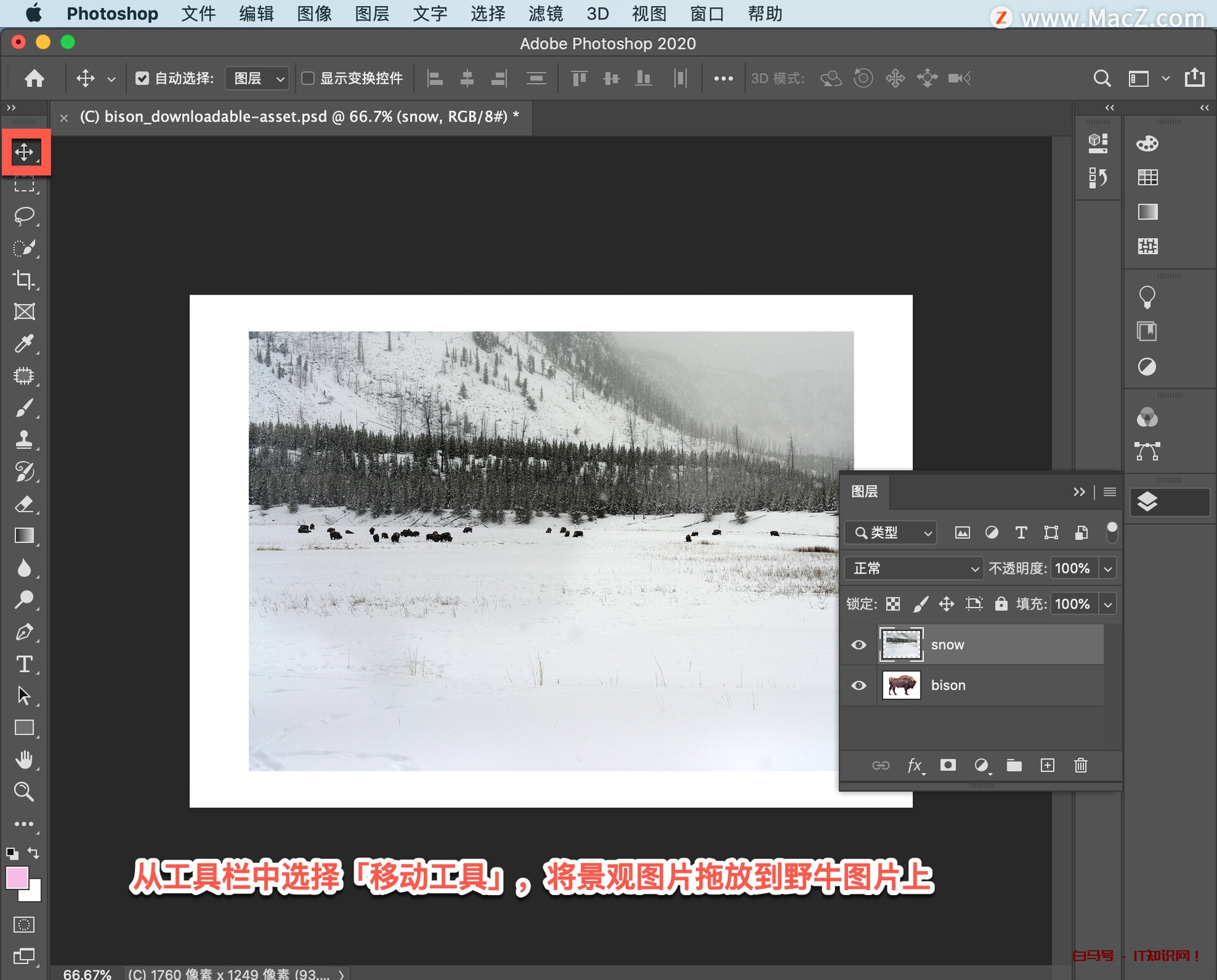 Ps 初学者教程，如何将两张图片合成为一张令人惊艳的全新图片？