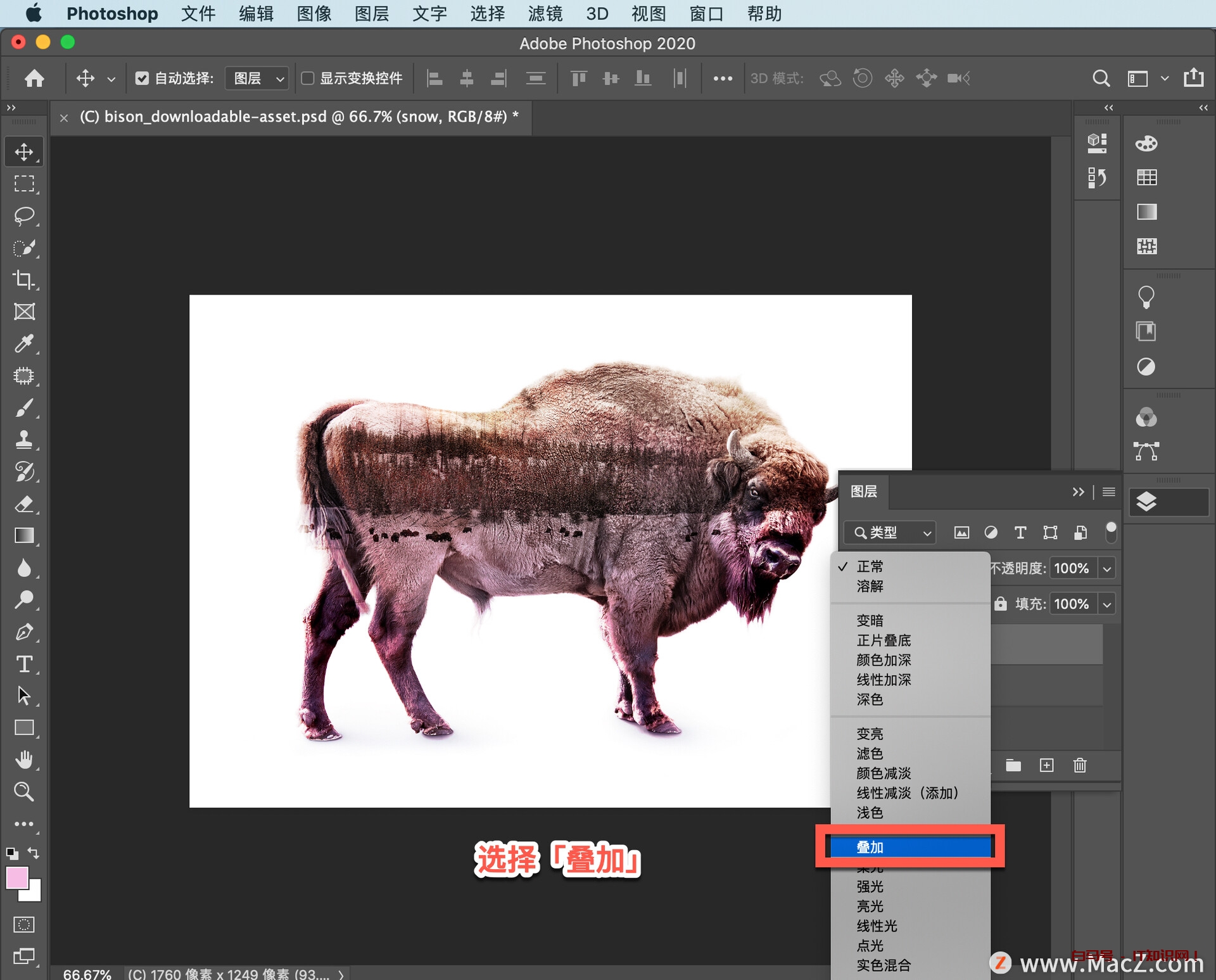 Ps 初学者教程，如何将两张图片合成为一张令人惊艳的全新图片？