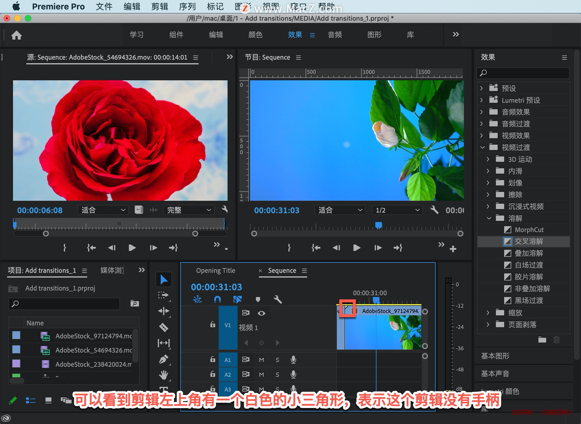 Pr 入门教程，如何向影片中的剪辑添加过渡效果？