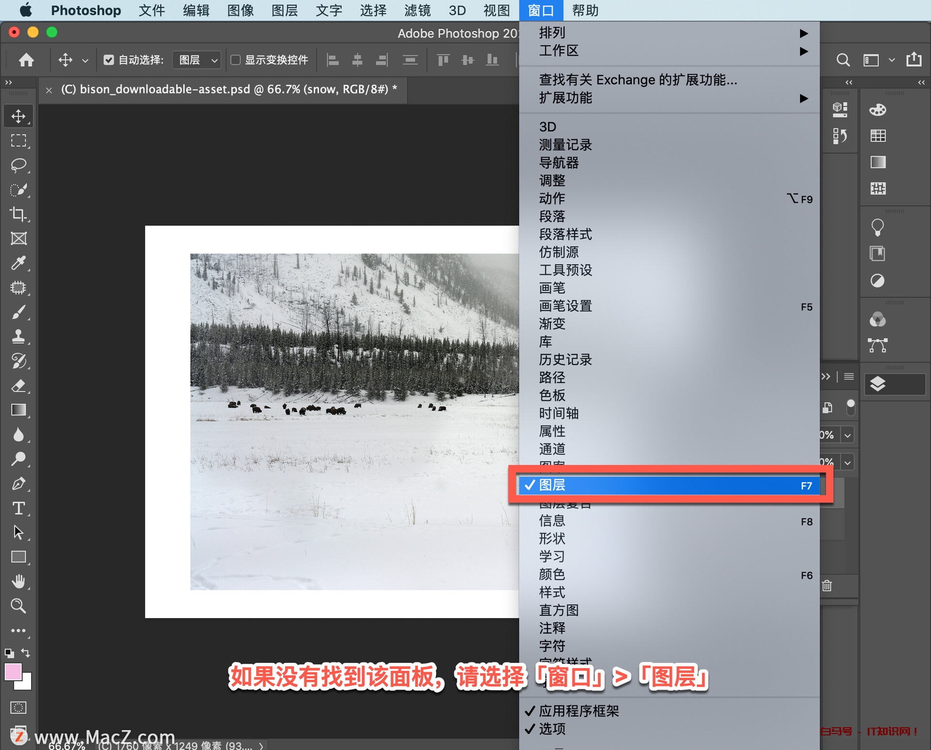 Ps 初学者教程，如何将两张图片合成为一张令人惊艳的全新图片？