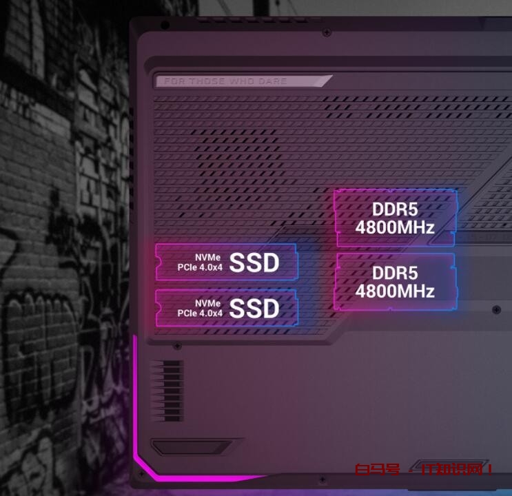 懂性能选锐龙，这些AMD锐龙本新品值得一看