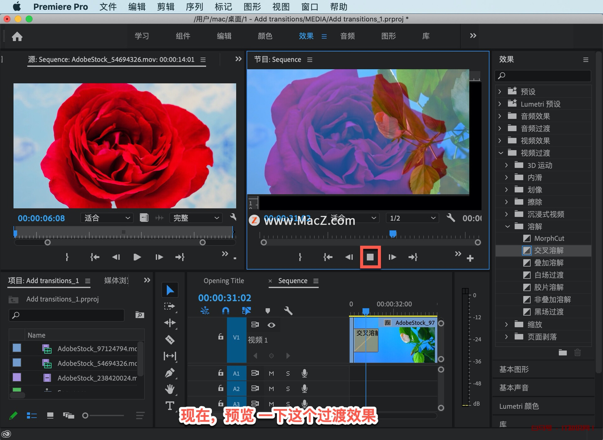 Pr 入门教程，如何向影片中的剪辑添加过渡效果？