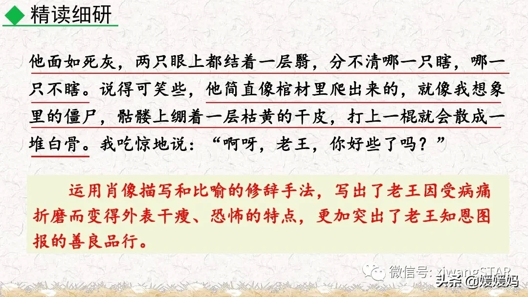 部编版七年级下册语文《10.老王》学习课件