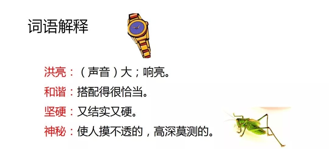 部编语文六年级下册16课《表里的生物》知识点+图文解读+课堂测试