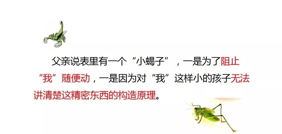 部编语文六年级下册16课《表里的生物》知识点+图文解读+课堂测试