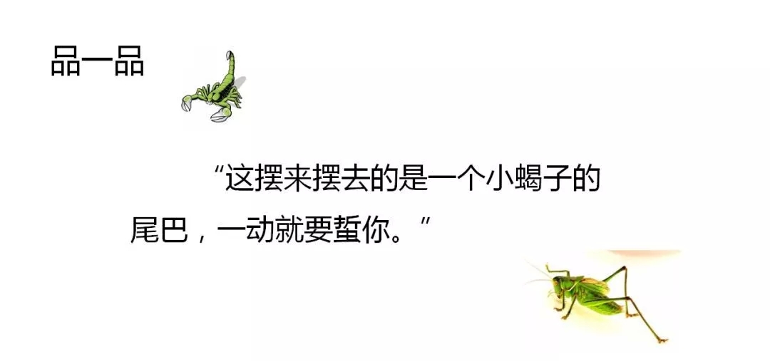 部编语文六年级下册16课《表里的生物》知识点+图文解读+课堂测试