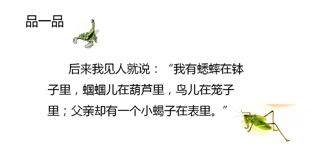 部编语文六年级下册16课《表里的生物》知识点+图文解读+课堂测试