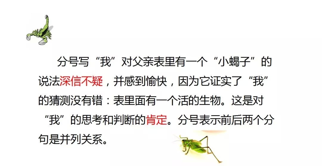 部编语文六年级下册16课《表里的生物》知识点+图文解读+课堂测试