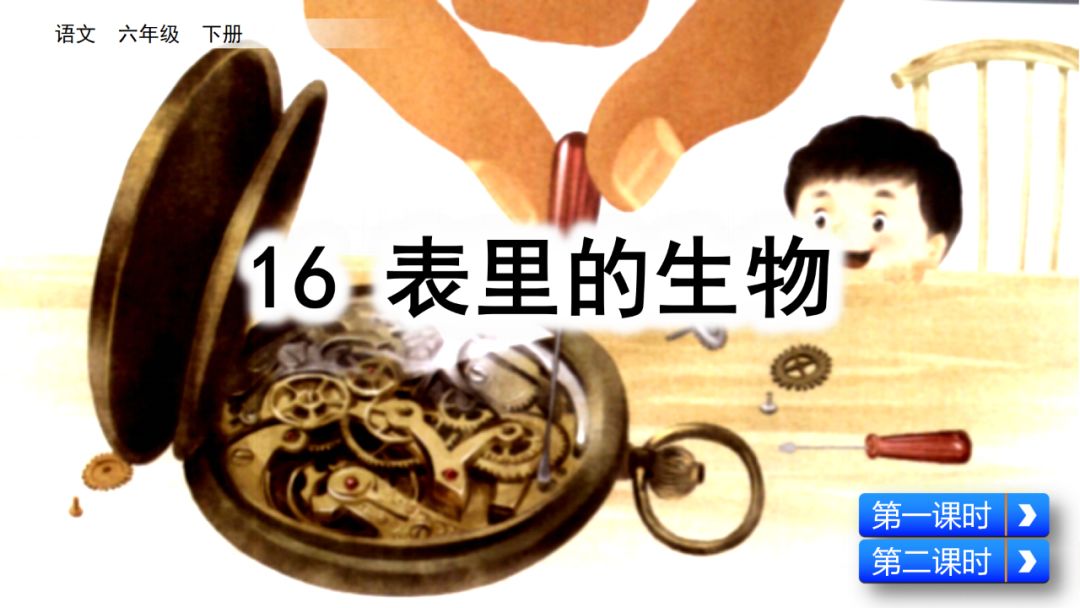 部编语文六年级下册16课《表里的生物》知识点+图文解读+课堂测试