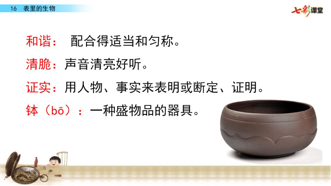 部编语文六年级下册16课《表里的生物》知识点+图文解读+课堂测试