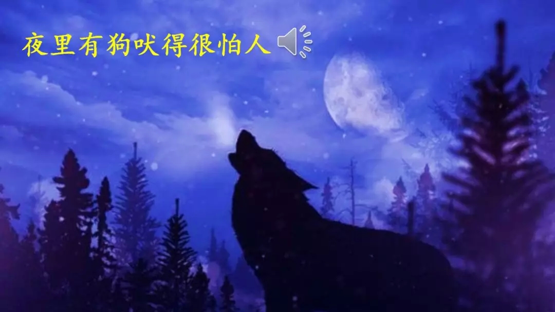 部编语文六年级下册16课《表里的生物》知识点+图文解读+课堂测试