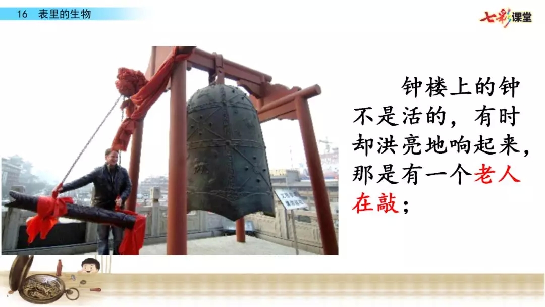部编语文六年级下册16课《表里的生物》知识点+图文解读+课堂测试
