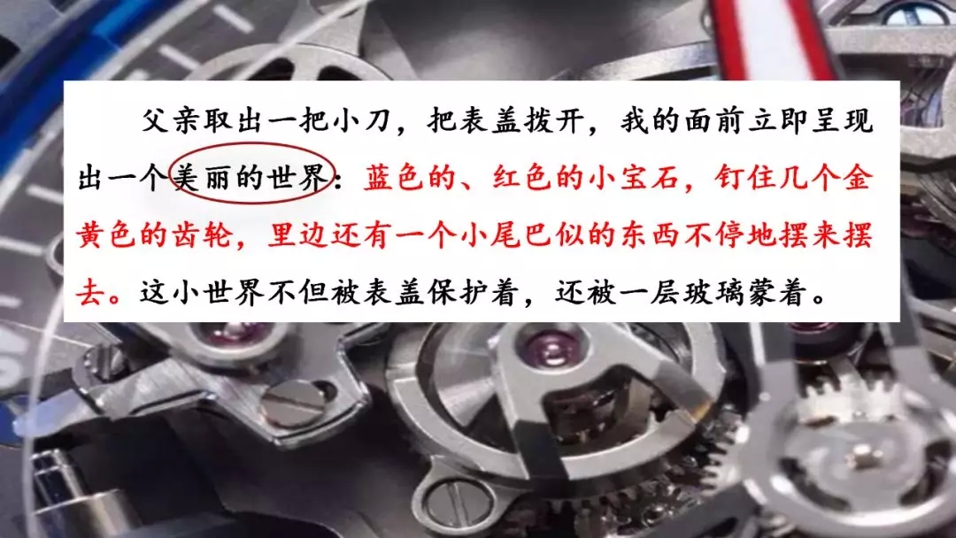 部编语文六年级下册16课《表里的生物》知识点+图文解读+课堂测试