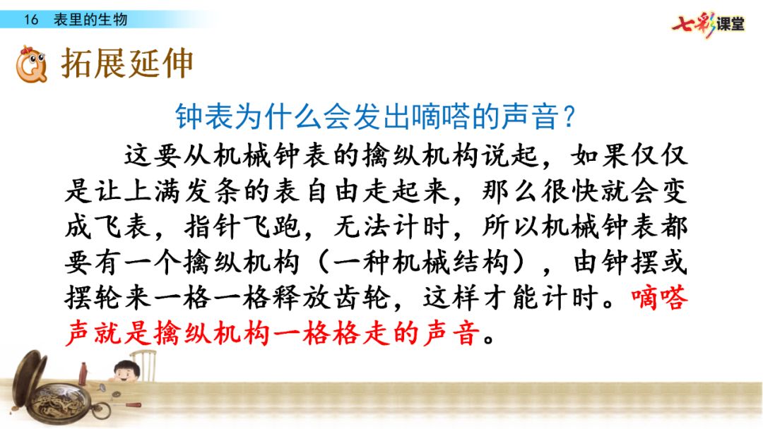 部编语文六年级下册16课《表里的生物》知识点+图文解读+课堂测试