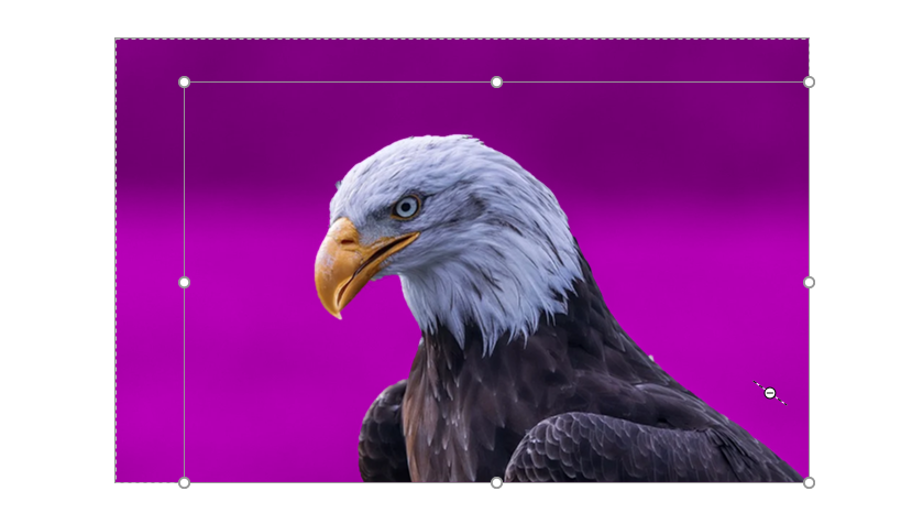 PPT里的那些好用的“自定义”功能，你知道几个？