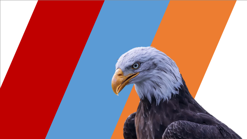 PPT里的那些好用的“自定义”功能，你知道几个？