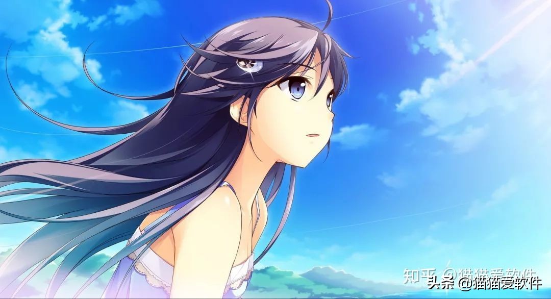 花了一周时间，整理出推荐频率最高的14款办公必备软件