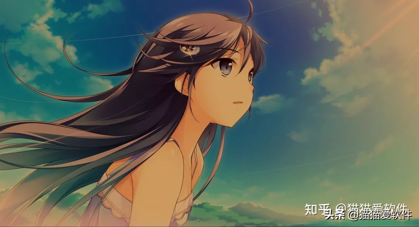 花了一周时间，整理出推荐频率最高的14款办公必备软件