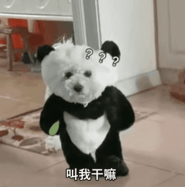 原来GIF表情包制作这么简单？分享2个生成工具，再也不怕斗图