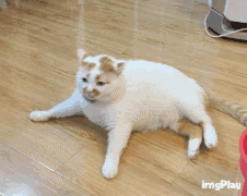 OneDrive同步慢怎么办？OneNote同步慢怎么办？同步不了怪我咯？