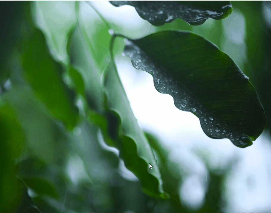 Windows电脑隐藏5个录屏技巧，一分钟教你学会，简单便捷