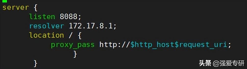 如何设置代理服务器上网（Centos配置nginx代理上网服务器教程）