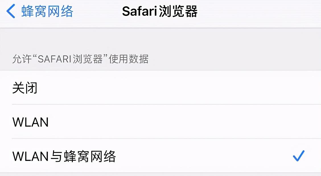 手机safari浏览器怎么设置（safari高级设置详解）