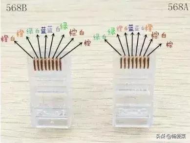 8芯网线水晶头接法图解（网线水晶头的正确排线和接法）