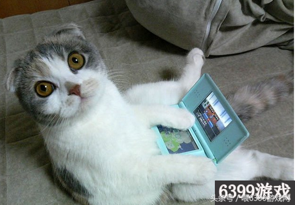 3ds破解可以联网吗（任天堂大规模封禁已破解的3DS）