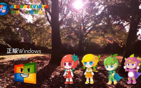 Windows 11 之家资源全面解析：官方与第三方推荐