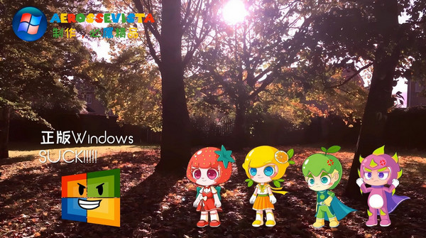 Windows 11 之家资源全面解析：官方与第三方推荐