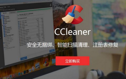 如何在Windows 11中清理注册表？——小白教程