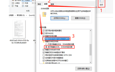 Win11怎么找到隐藏文件夹？实用技巧快速上手